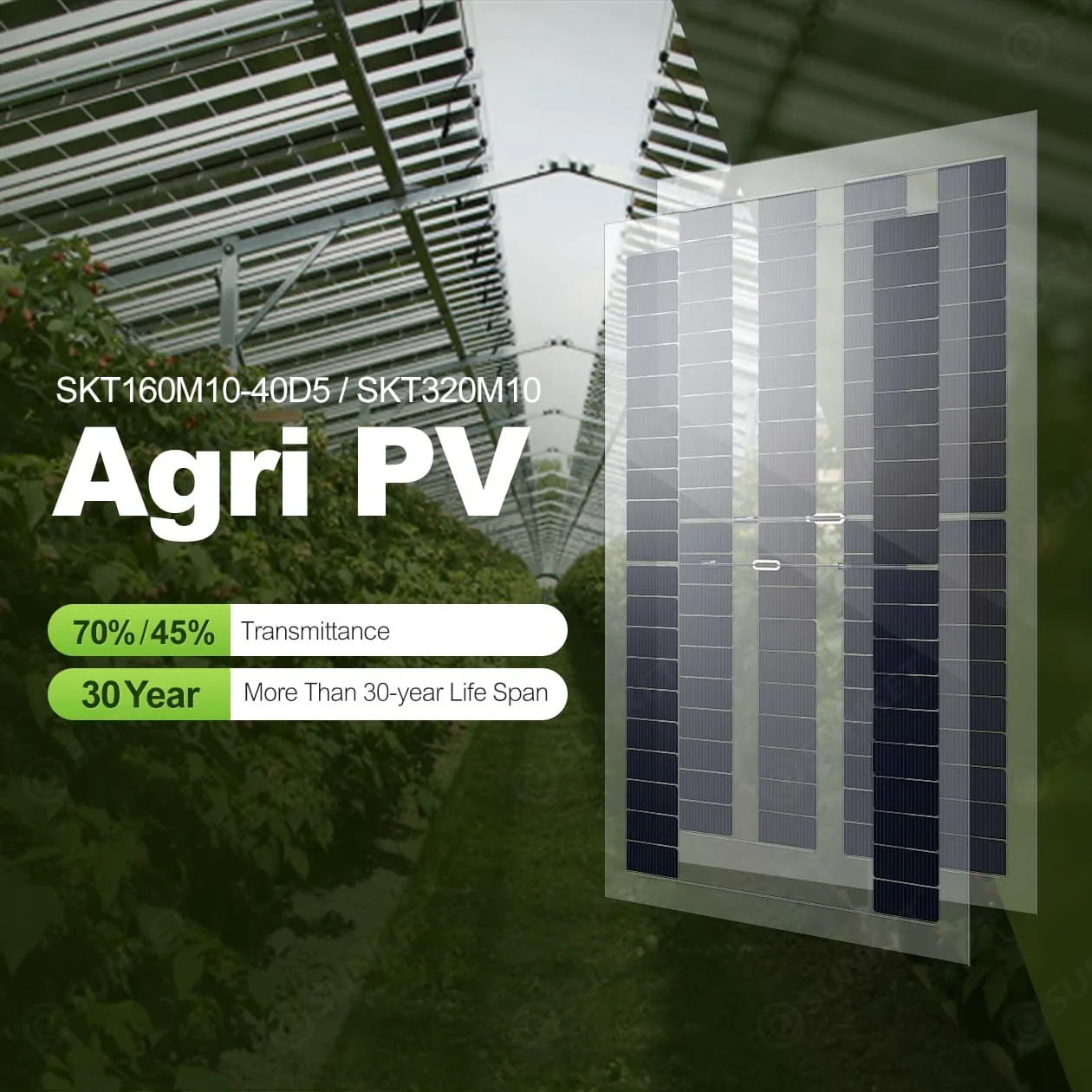 AGRI-PV製品写真